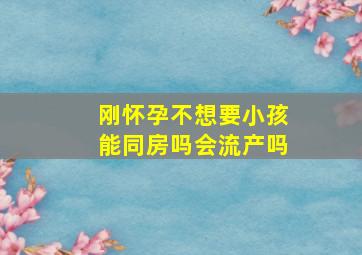 刚怀孕不想要小孩能同房吗会流产吗