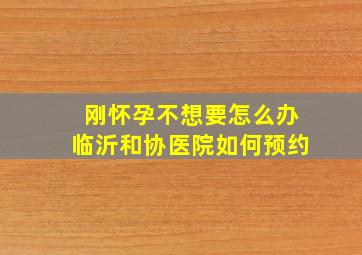 刚怀孕不想要怎么办临沂和协医院如何预约