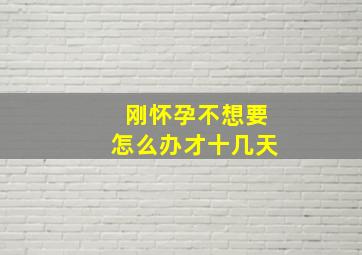 刚怀孕不想要怎么办才十几天