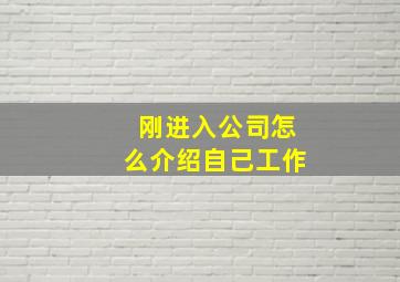 刚进入公司怎么介绍自己工作