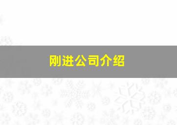 刚进公司介绍