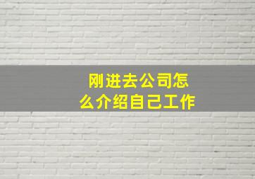 刚进去公司怎么介绍自己工作