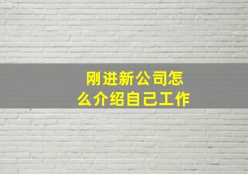 刚进新公司怎么介绍自己工作