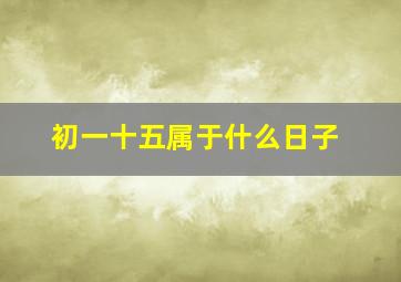 初一十五属于什么日子