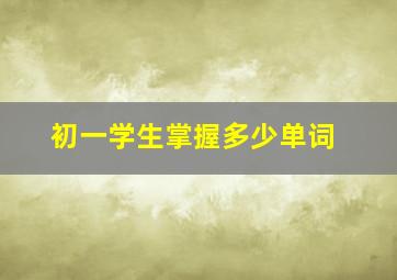 初一学生掌握多少单词