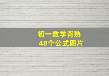 初一数学背熟48个公式图片