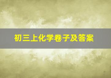 初三上化学卷子及答案