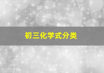 初三化学式分类