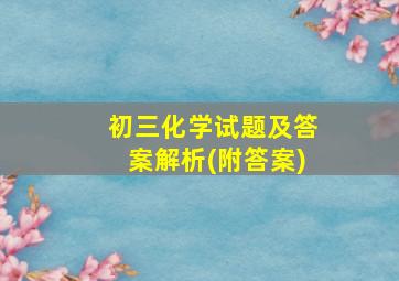 初三化学试题及答案解析(附答案)