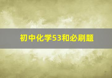 初中化学53和必刷题