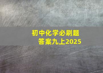 初中化学必刷题答案九上2025