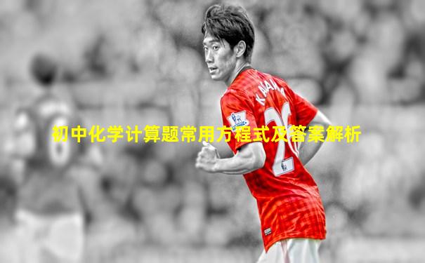 初中化学计算题常用方程式及答案解析