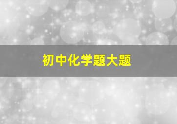 初中化学题大题