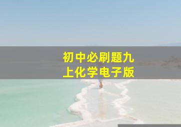 初中必刷题九上化学电子版