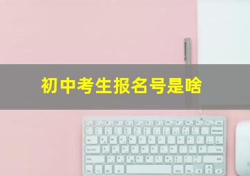 初中考生报名号是啥