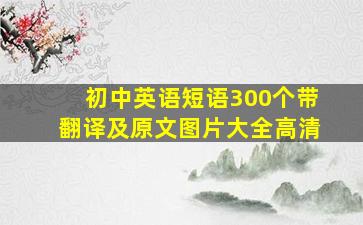 初中英语短语300个带翻译及原文图片大全高清