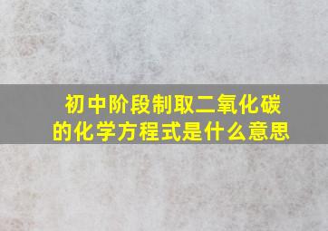 初中阶段制取二氧化碳的化学方程式是什么意思