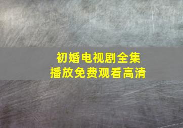 初婚电视剧全集播放免费观看高清