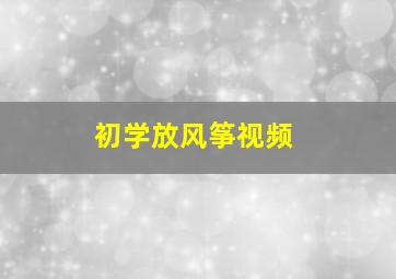 初学放风筝视频