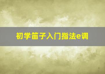 初学笛子入门指法e调