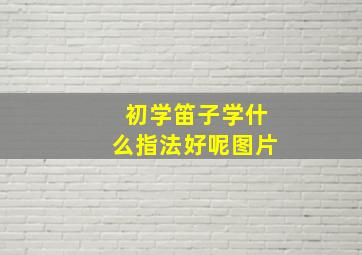 初学笛子学什么指法好呢图片