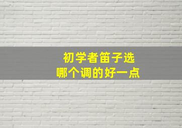 初学者笛子选哪个调的好一点