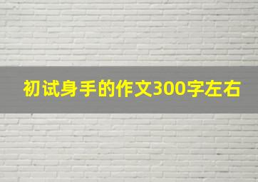 初试身手的作文300字左右