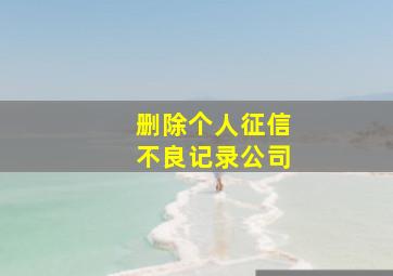 删除个人征信不良记录公司