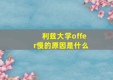 利兹大学offer慢的原因是什么