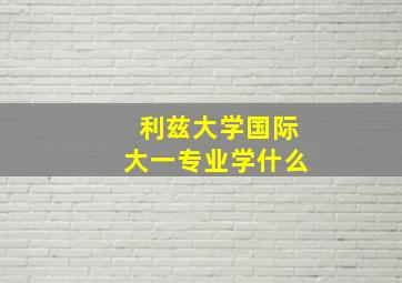 利兹大学国际大一专业学什么