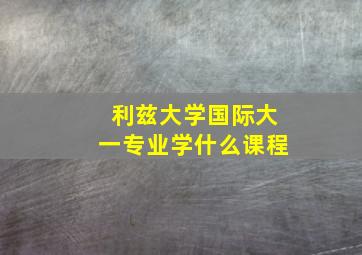 利兹大学国际大一专业学什么课程