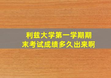 利兹大学第一学期期末考试成绩多久出来啊