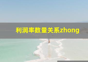 利润率数量关系zhong