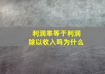 利润率等于利润除以收入吗为什么