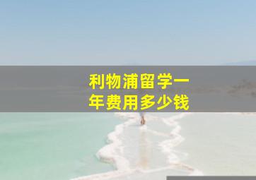 利物浦留学一年费用多少钱