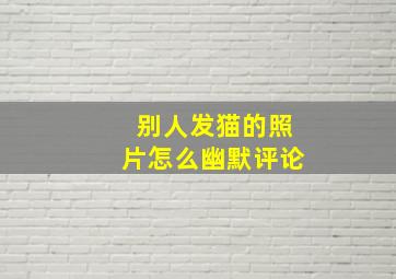 别人发猫的照片怎么幽默评论