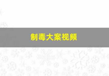 制毒大案视频