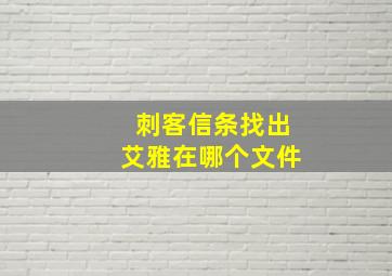 刺客信条找出艾雅在哪个文件