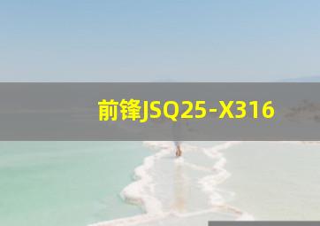 前锋JSQ25-X316