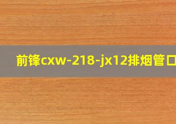 前锋cxw-218-jx12排烟管口径