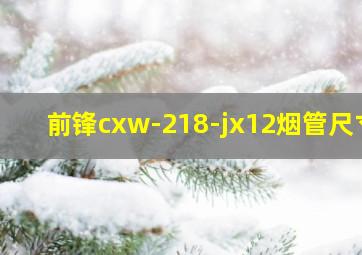 前锋cxw-218-jx12烟管尺寸