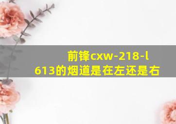 前锋cxw-218-l613的烟道是在左还是右