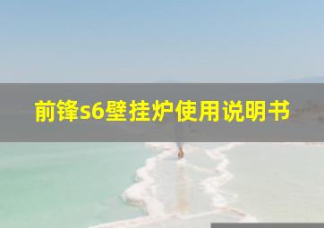 前锋s6壁挂炉使用说明书