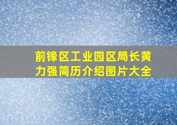 前锋区工业园区局长黄力强简历介绍图片大全