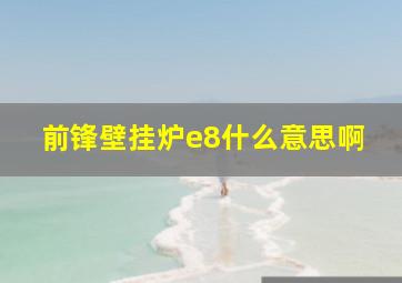 前锋壁挂炉e8什么意思啊