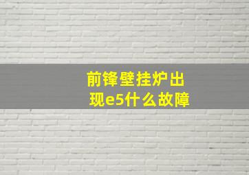 前锋壁挂炉出现e5什么故障