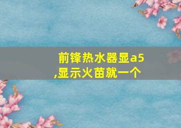 前锋热水器显a5,显示火苗就一个