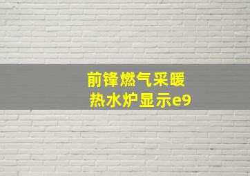 前锋燃气采暖热水炉显示e9