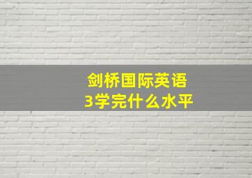 剑桥国际英语3学完什么水平