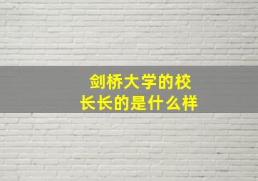 剑桥大学的校长长的是什么样